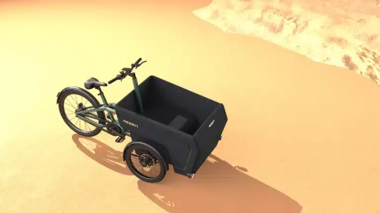 Top 10 Cargo Bike Rental Services in Germany