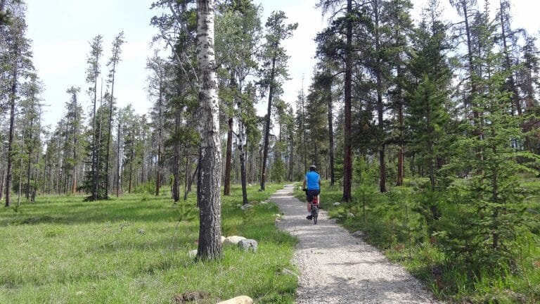 Cycling path in Jasper National Park Canada