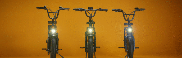 Rad Power Bikes Brand to Continue After Life EV Acquisition