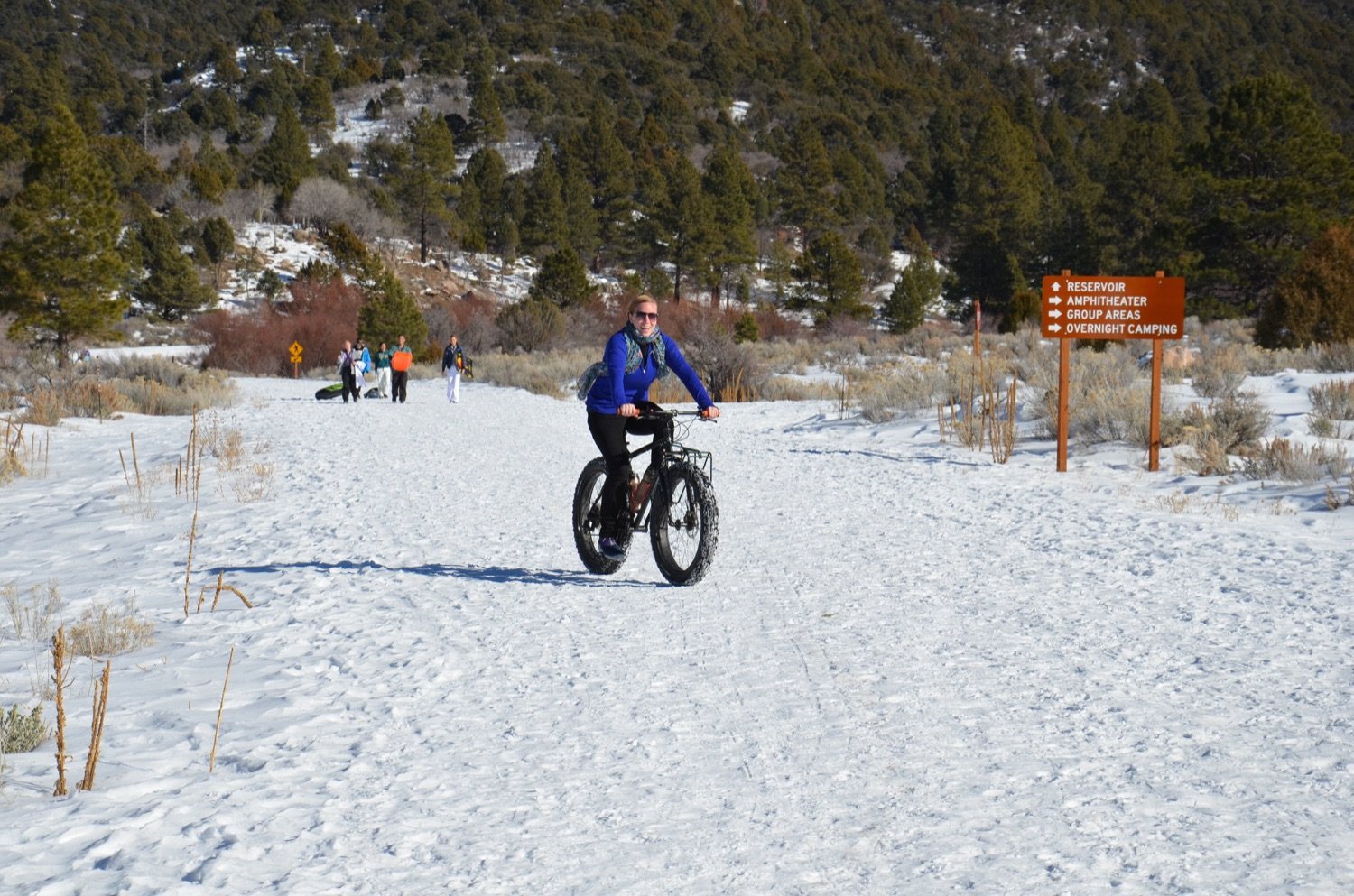 A fat-tyre bike on a winter trail