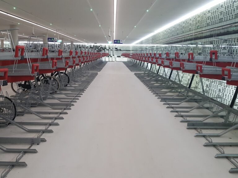 E-Trikes for Seniors in the Netherlands: Retail Takes Over