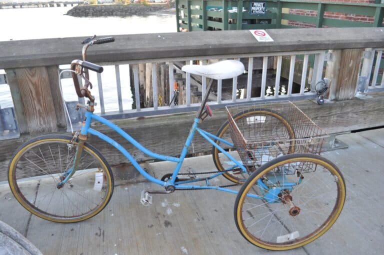 An adult tricycle with a basket, representing the upright stability segment